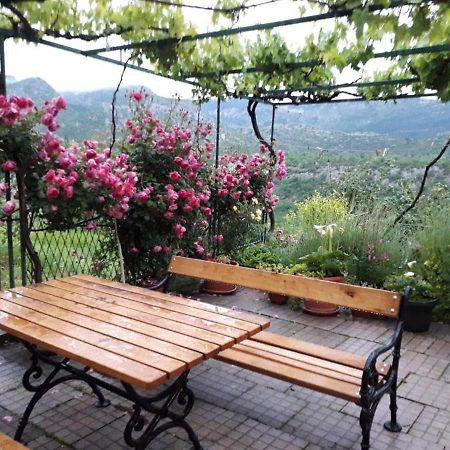 Holiday Home Carevic Gornja Brela エクステリア 写真